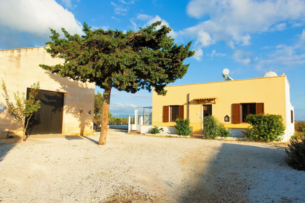 Vigne al vento