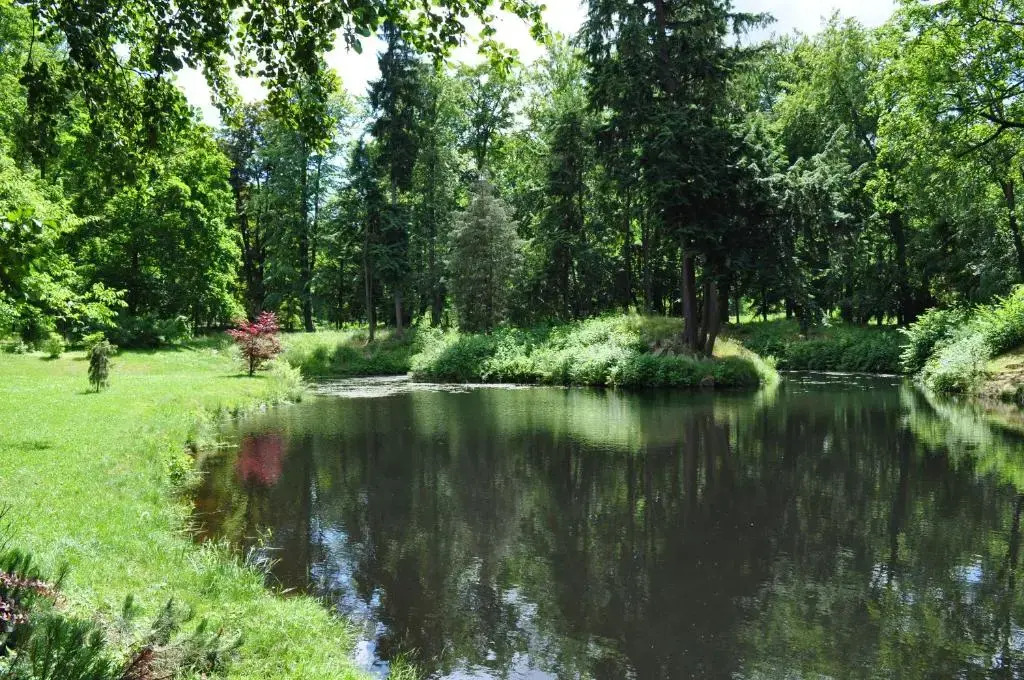 Penzion Lípa