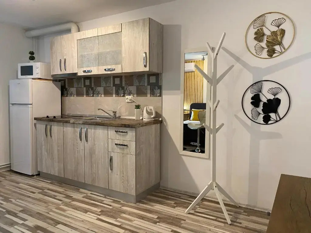 Urseni Studio Apartment