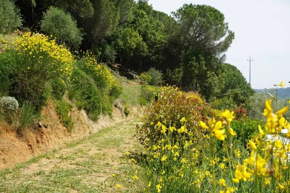 Il Casolare Val Di Mare