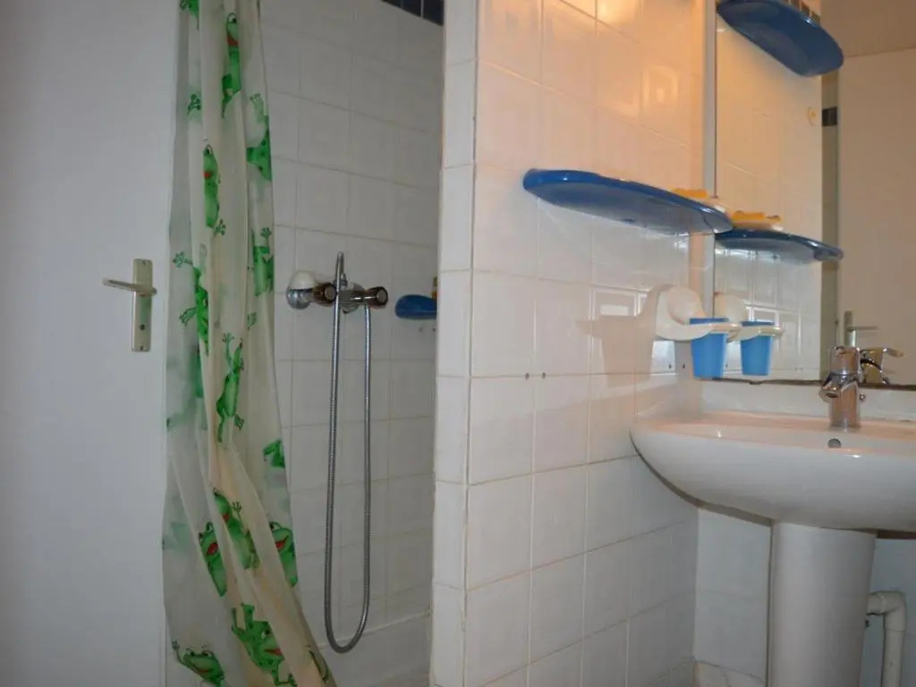 Appartement Saint-Cyprien, 2 pièces, 6 personnes - FR-1-225D-65