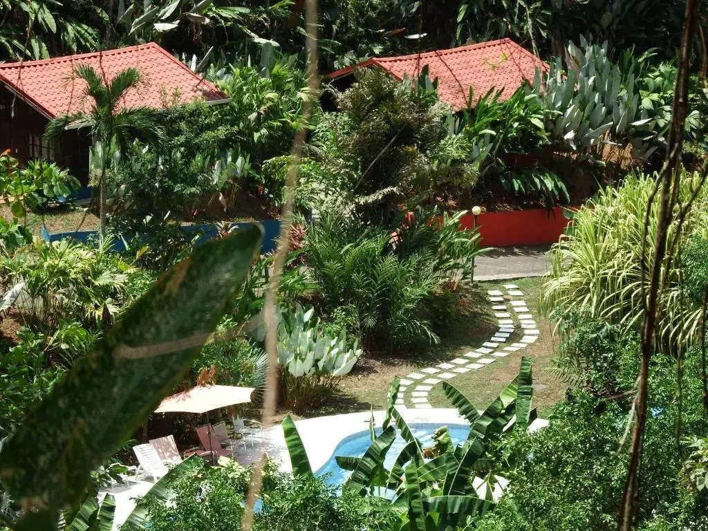 Selva Color - Forest & Beach EcoLodge