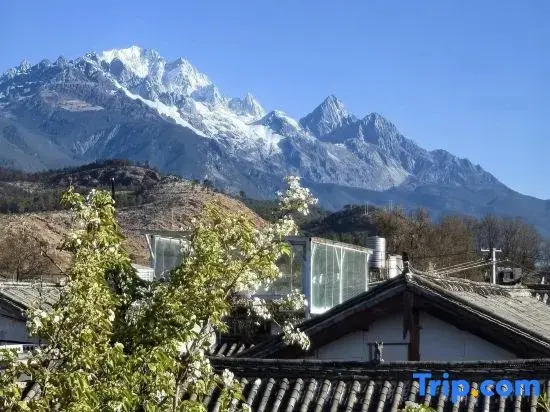 Dream Homestay