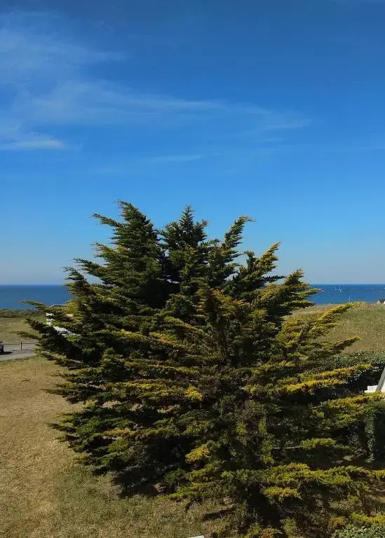 Charmant logement vue mer avec chambre et terrasse