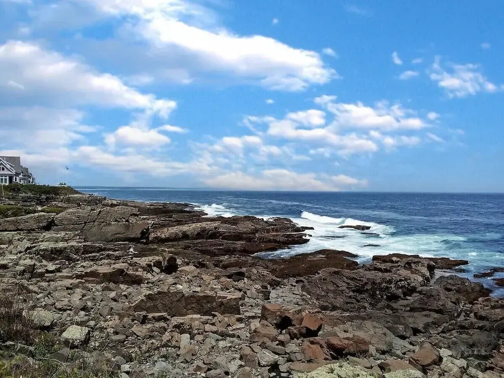 Seacoast Sanctuary