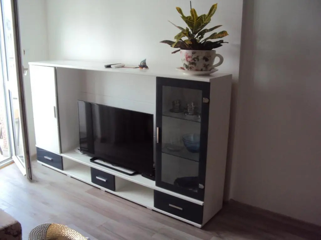 Apartment Alyosha