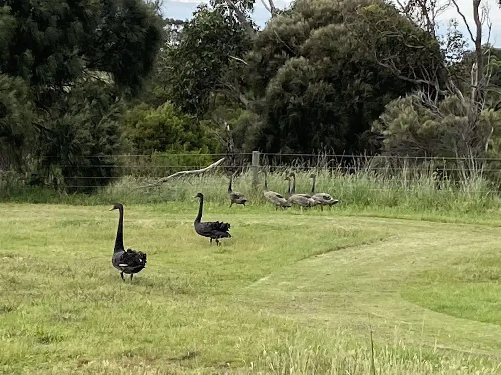 Aussie Golf Ranch