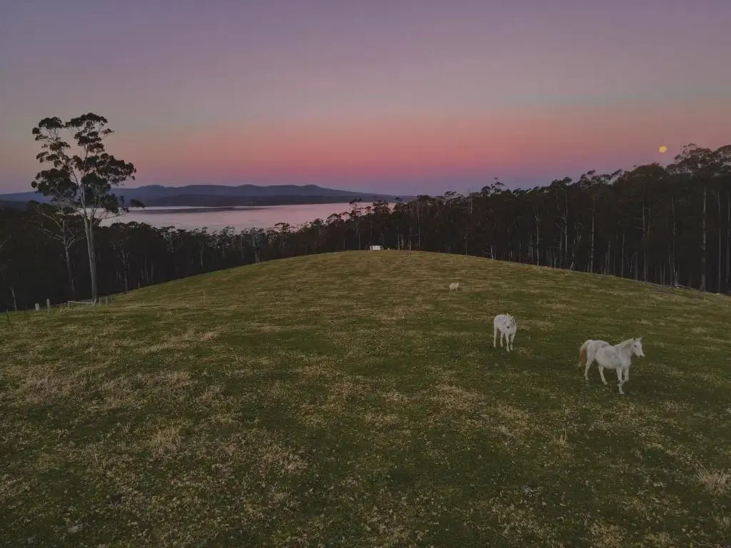 Farm Stay & Iconic Water Views - 32 Zachary Drive