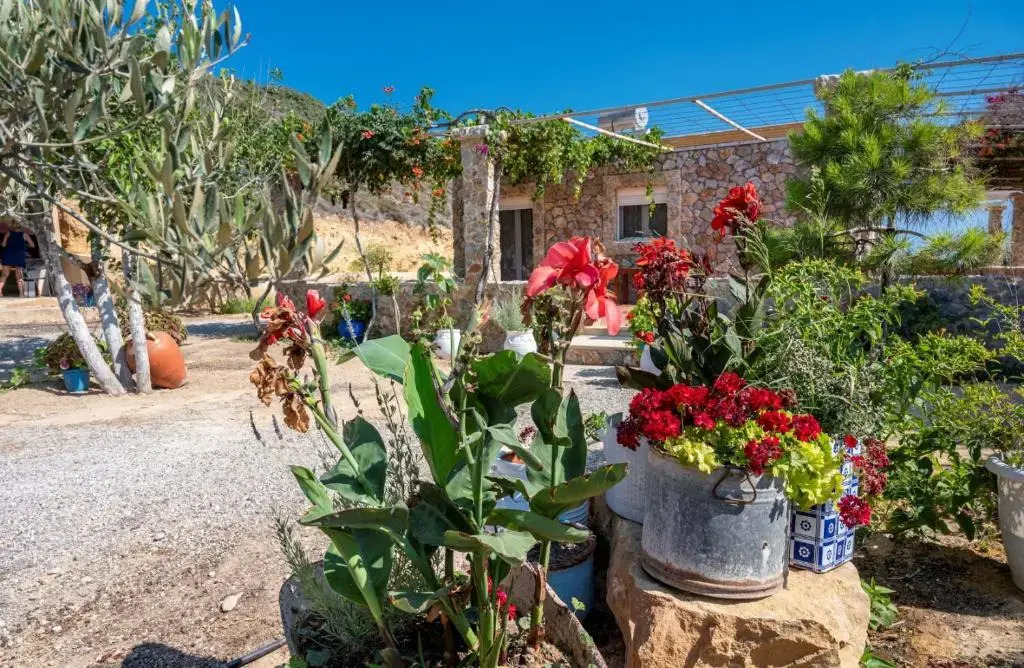 Ktima Sfakia
