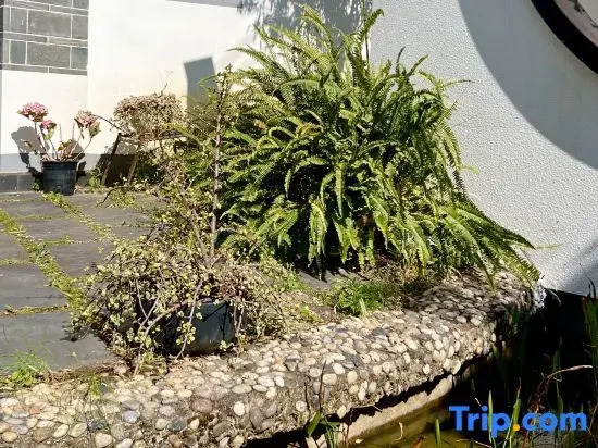 Tonghai Xiushan Inn Xiulu Garden Branch