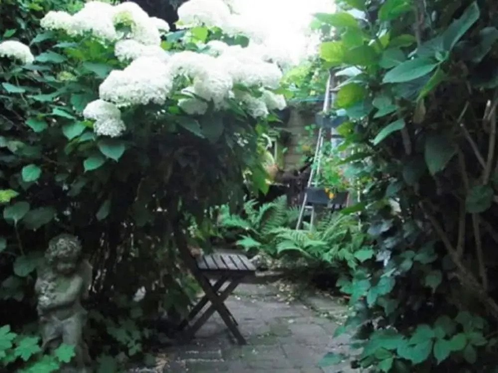 Holiday Home near Grote Market in Heart of Haarlem