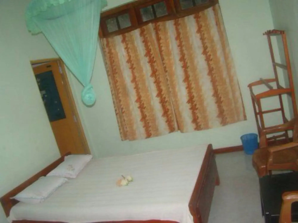 ALP Guest