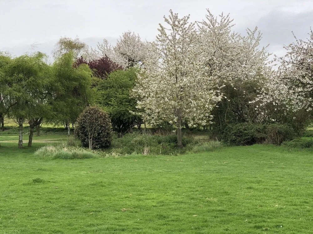 Sibton White Horse Inn