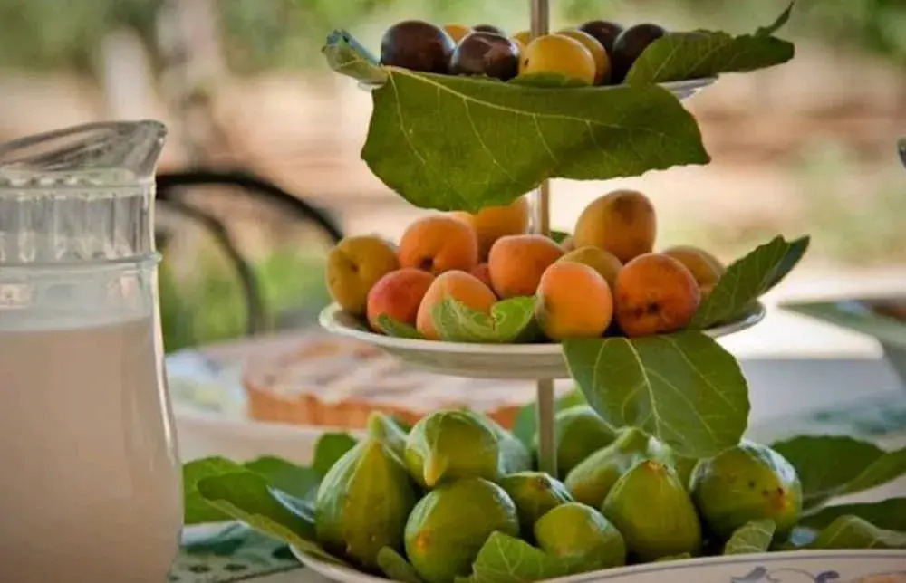 Bed and Breakfast La Liccina