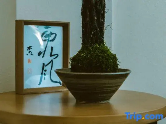 Songfeng Flower Moon Homestay