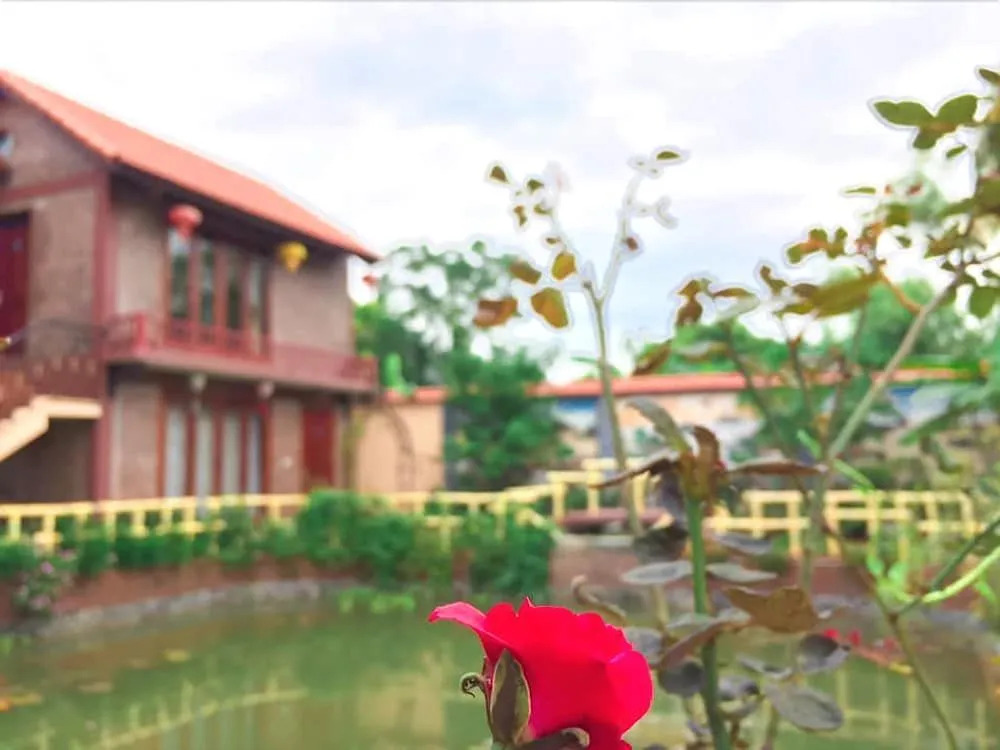 Tam Coc Ngoc Linh Bungalow Ninh Bình