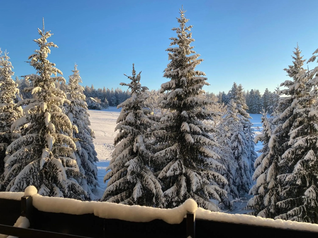 Schwarzwald Wohnung Kniebis
