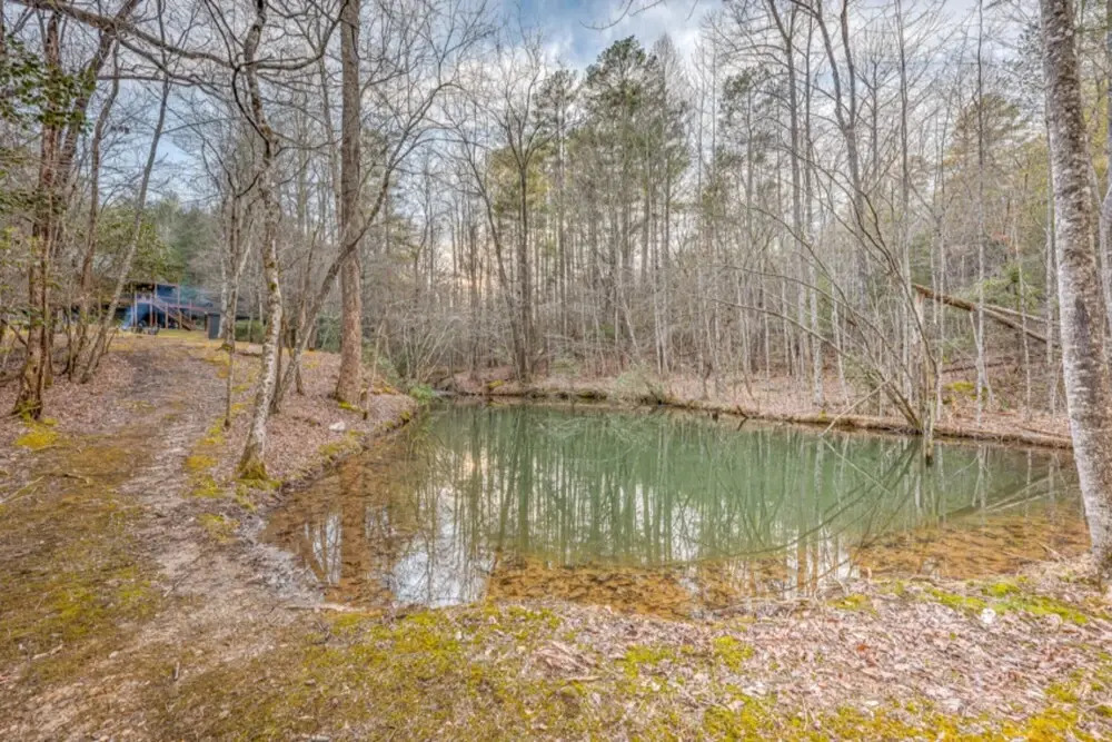 Secluded Springs by Escape to Blue Ridge