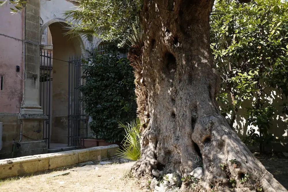 B&B Piazza Libertini