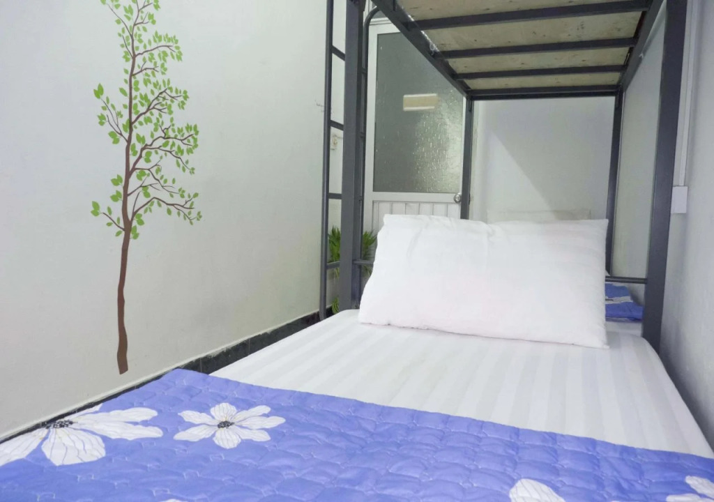 Daisy Hostel