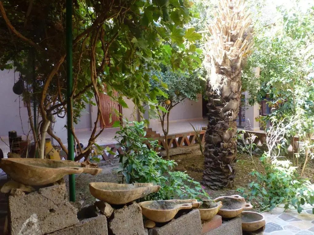 Hotel riad oasis