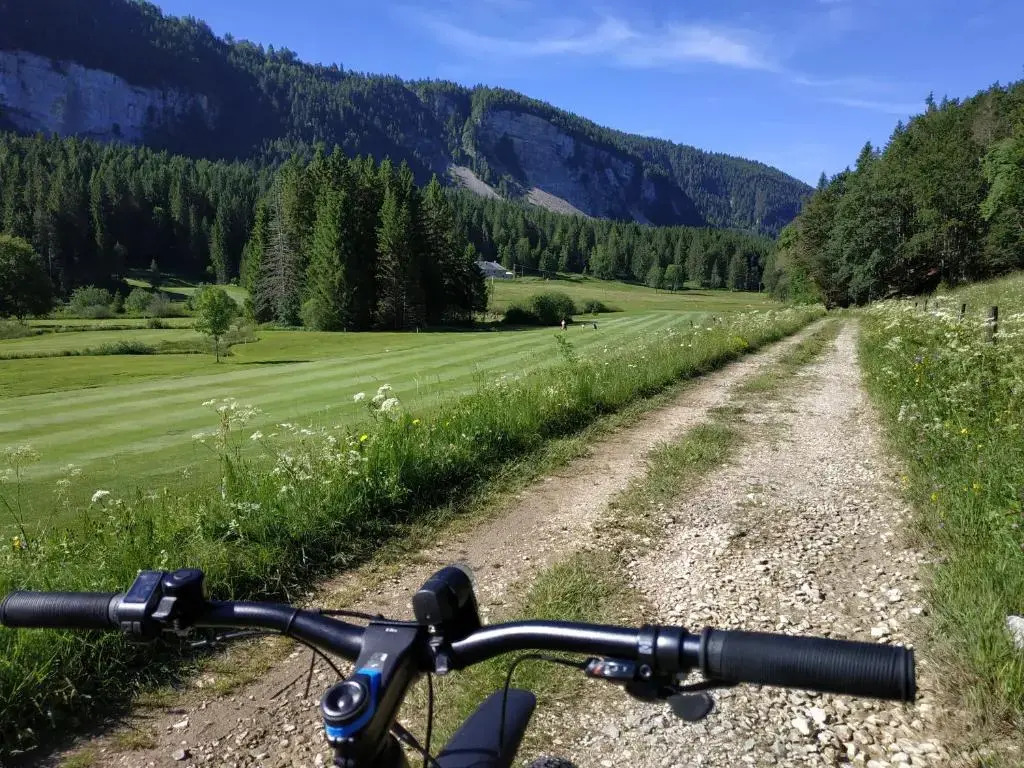 Les Chamois du Jura à Lajoux