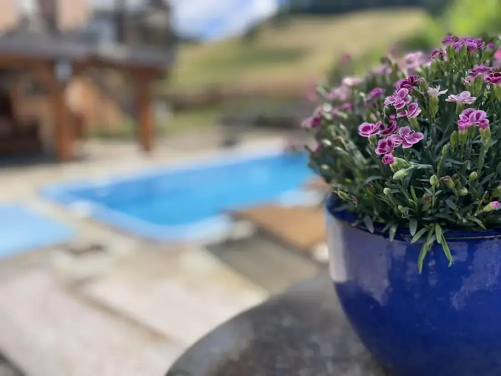 Traumhaftes Schwarzwaldhaus mit Swimmingpool