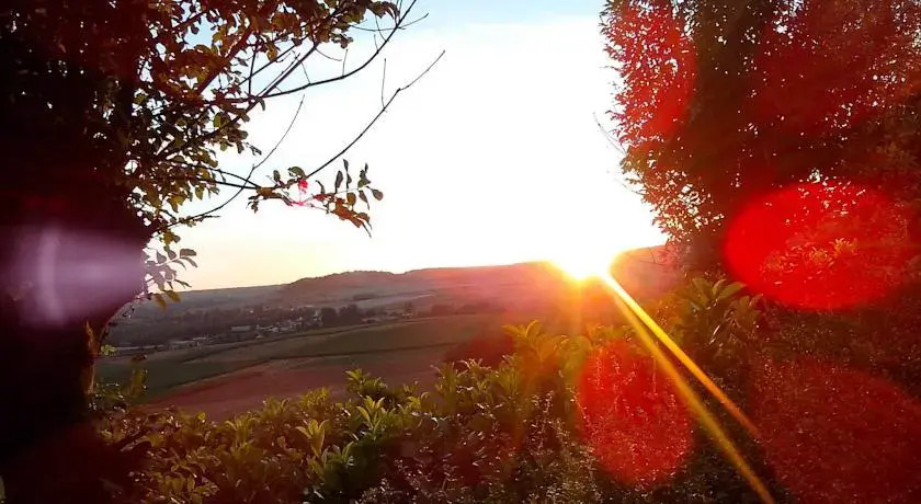 Les Sens des Bois