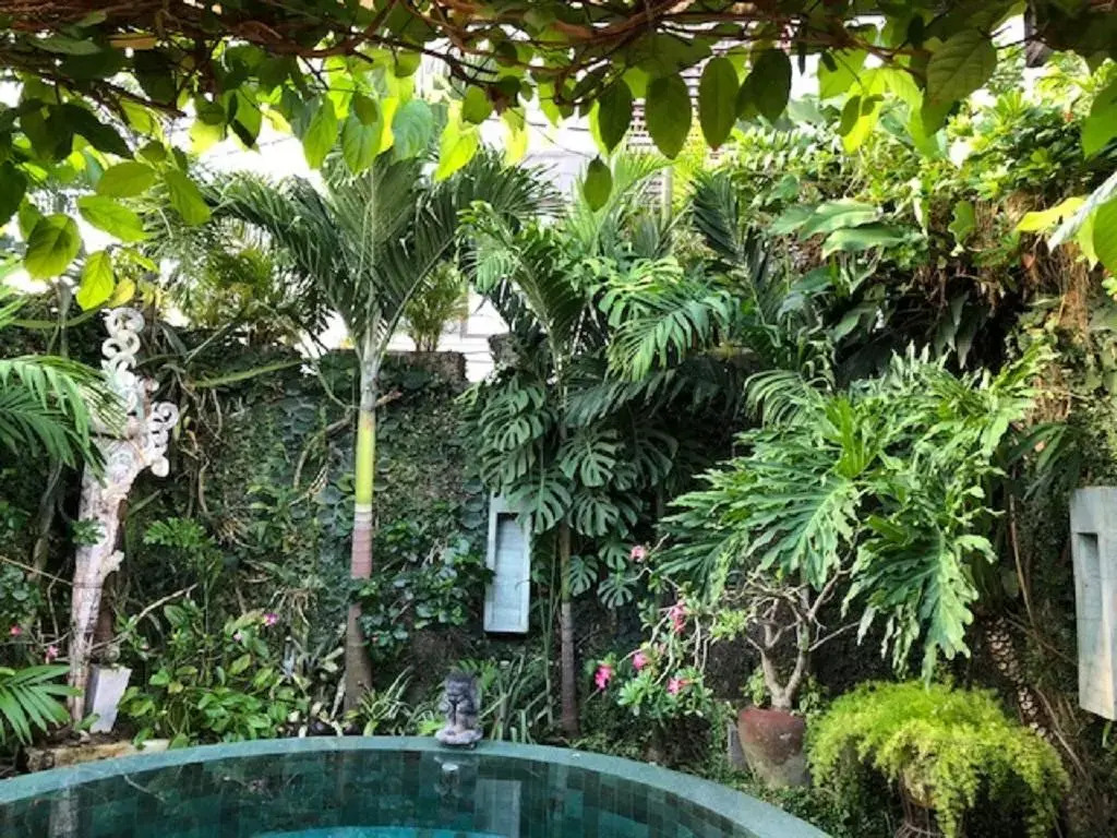 Villa Wonderland