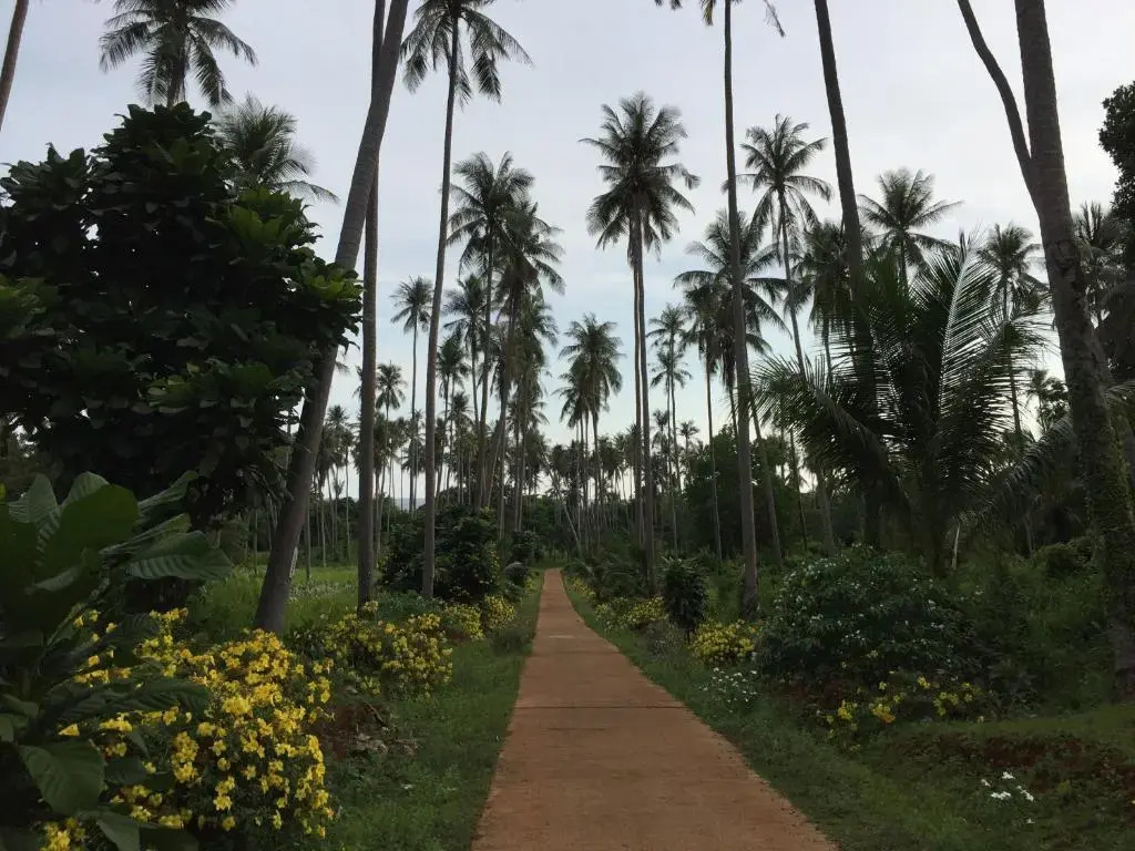 Naivacha Tent Koh Mak