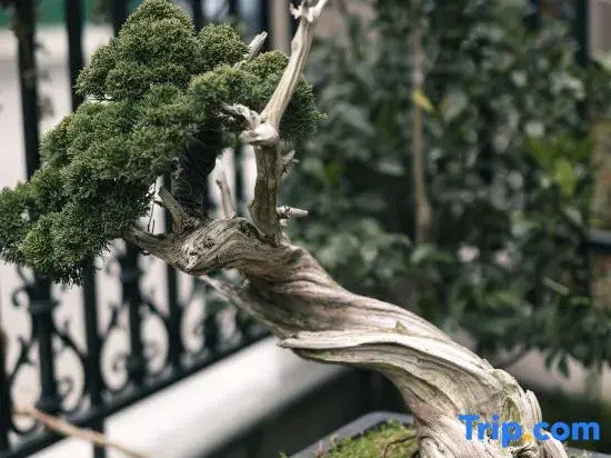 Nanxun Banxian · Staycation Leisure Flower Viewing · Travel Resort Cottage (Nanxun Ancient Town)