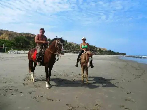 Puerto Palos