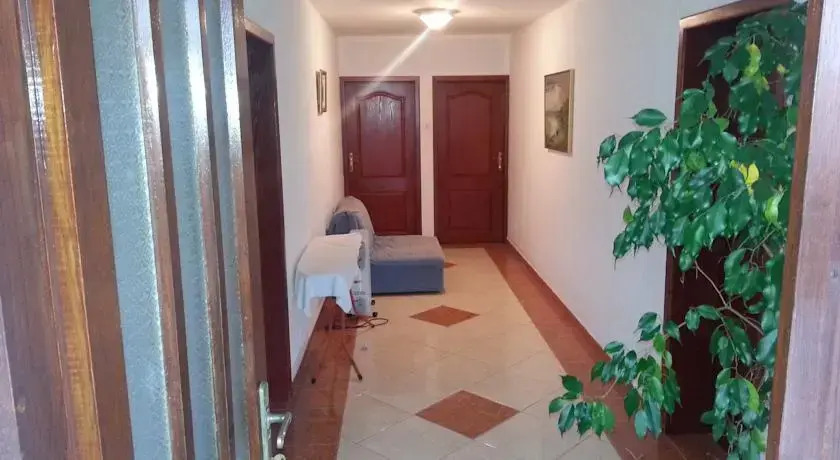 Apartments Stevo Nikočević