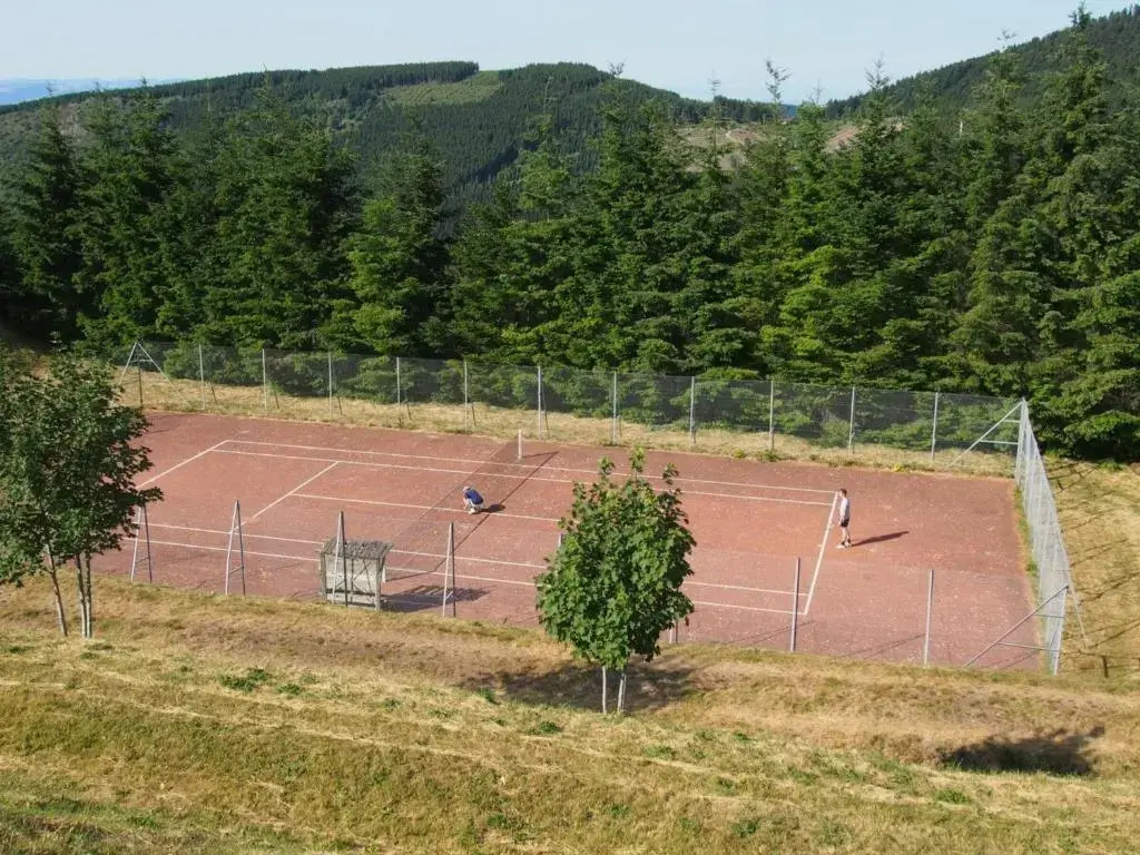 Chalet familial spacieux avec sauna au cœur du Bessat - FR-1-496-24