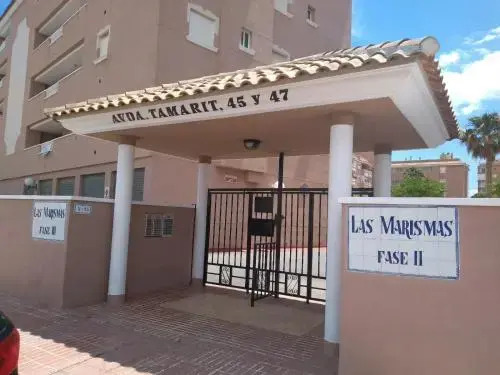 Playa Lisa Studio