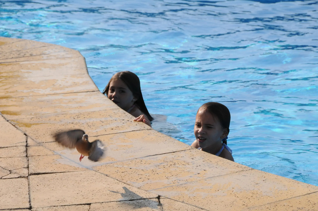 Arapey Oasis Termal Hotel