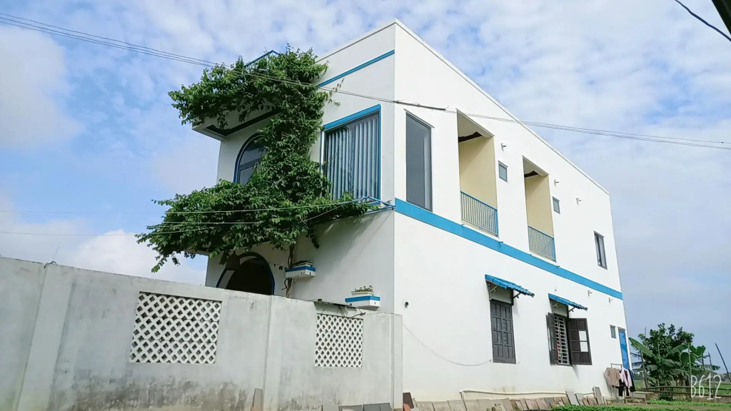 Hoi An Paddy House Homestay