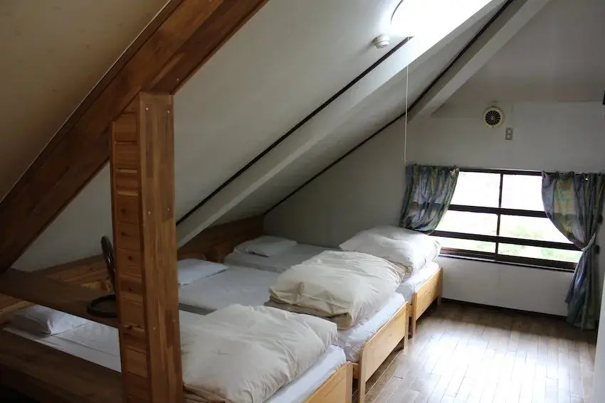 Bears House