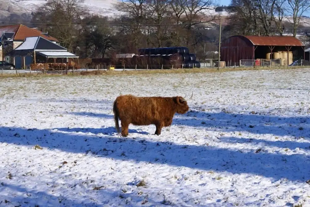 Dollar Lodge and Holiday Home Park