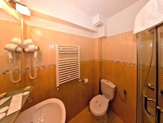 Popasul Domnesc- Resort& Spa- Voronet Vue