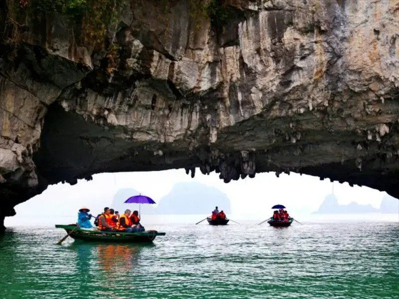 Signature Halong Cruise