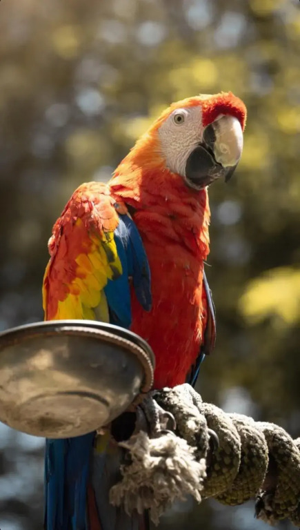 Polonezköy Country Club & Accommodation in the Wildlife Park