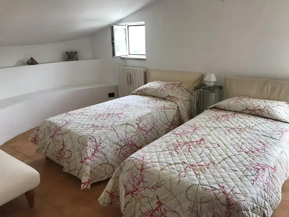 Lovely 60sqm Apartment With Balcony and View of the Pine Forest
