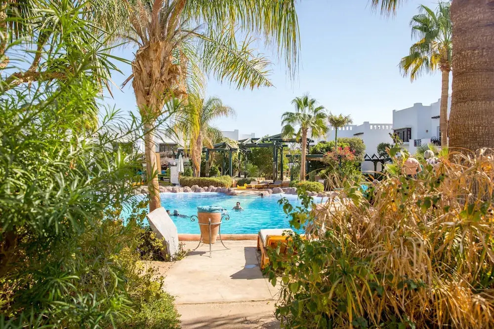 One Bedroom Apart Deep Purple by Pool