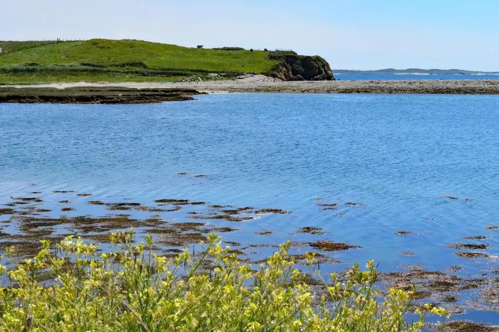 Cottage 311 - Clifden
