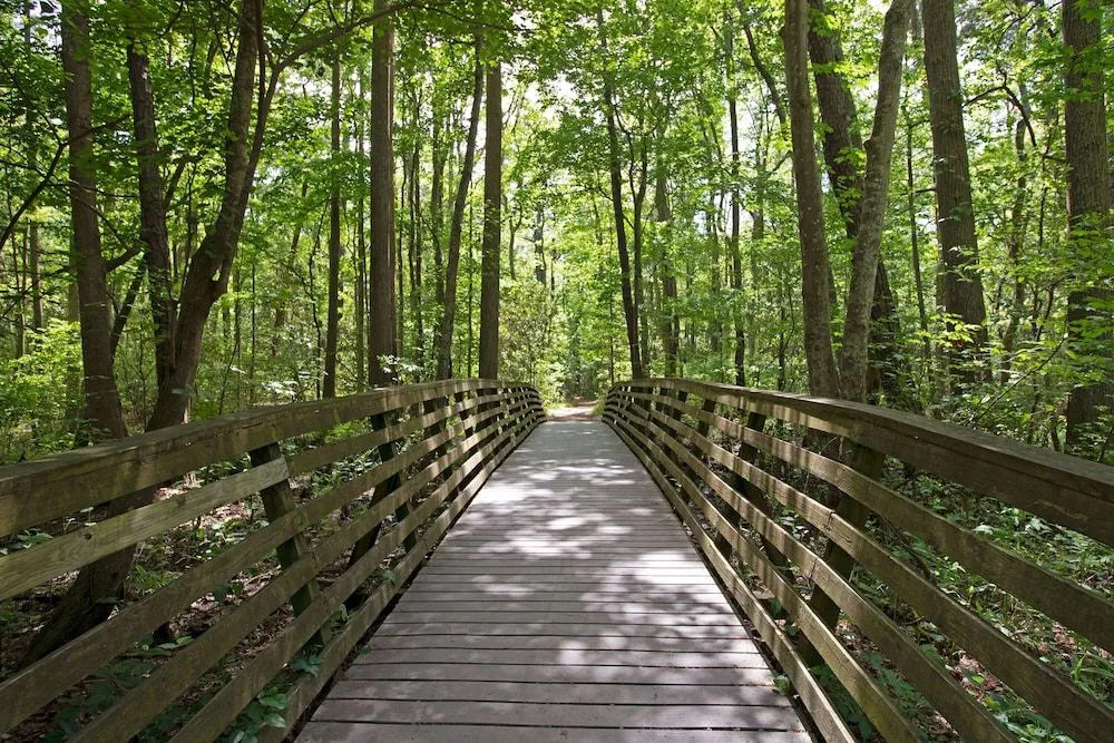 The Colony at Virginia Beach