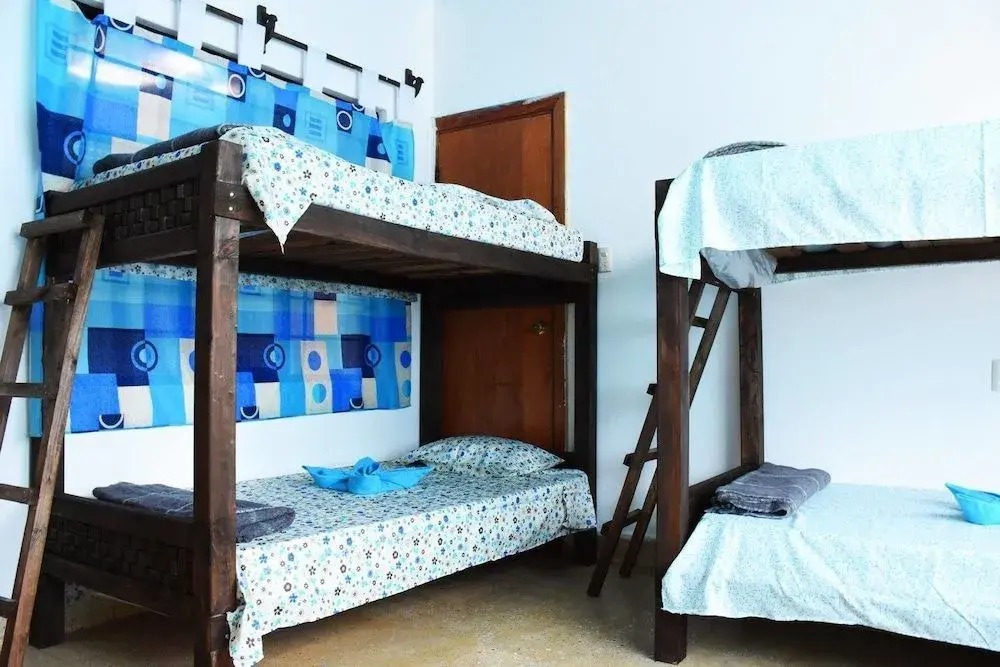 Hostel 53
