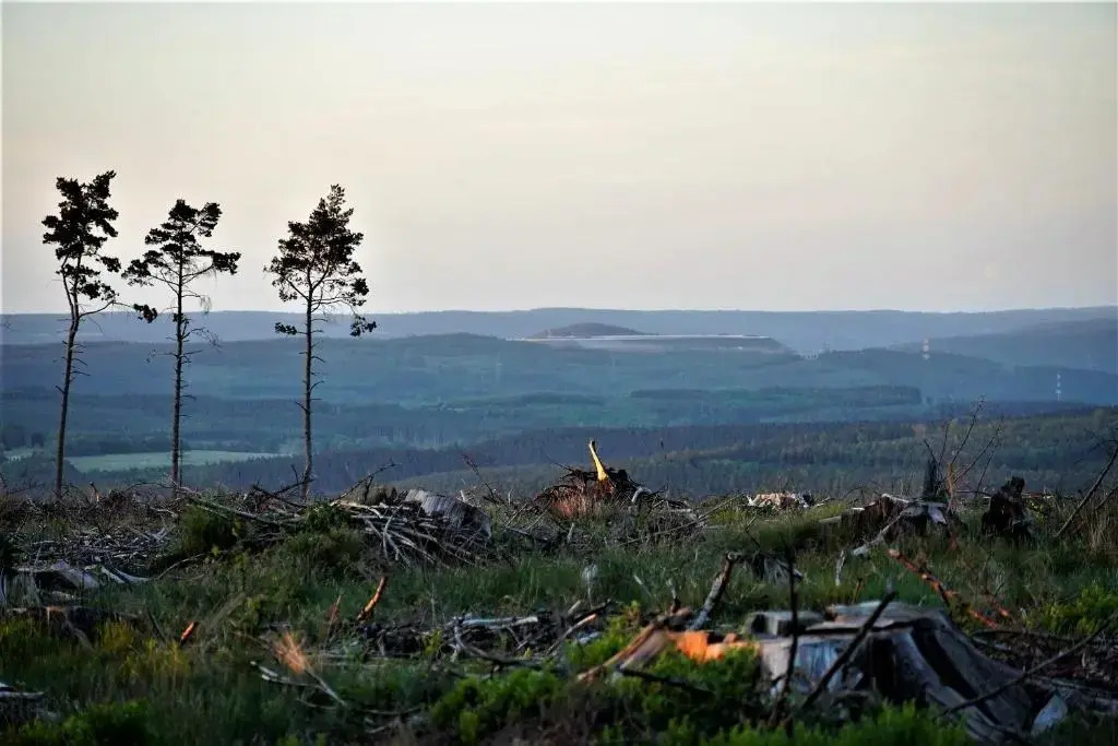 "Petite perle en Haute Ardenne" avec vue sur la vallée, cabine infra-rouge et bain balnéo