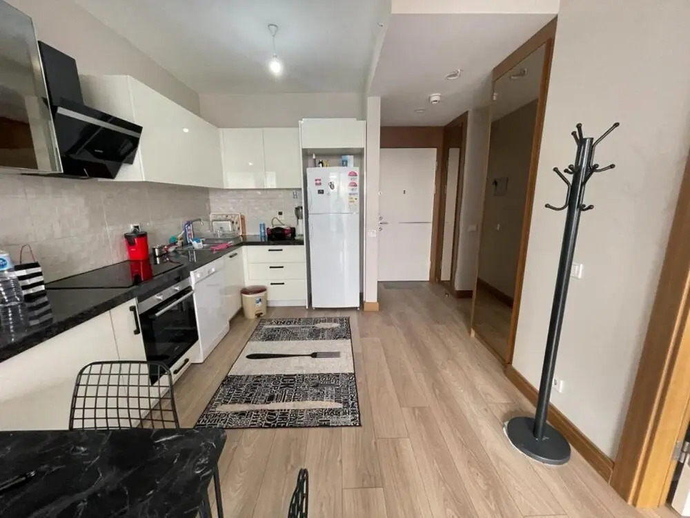 Business-friendly Residence Flat in Fikirtepe