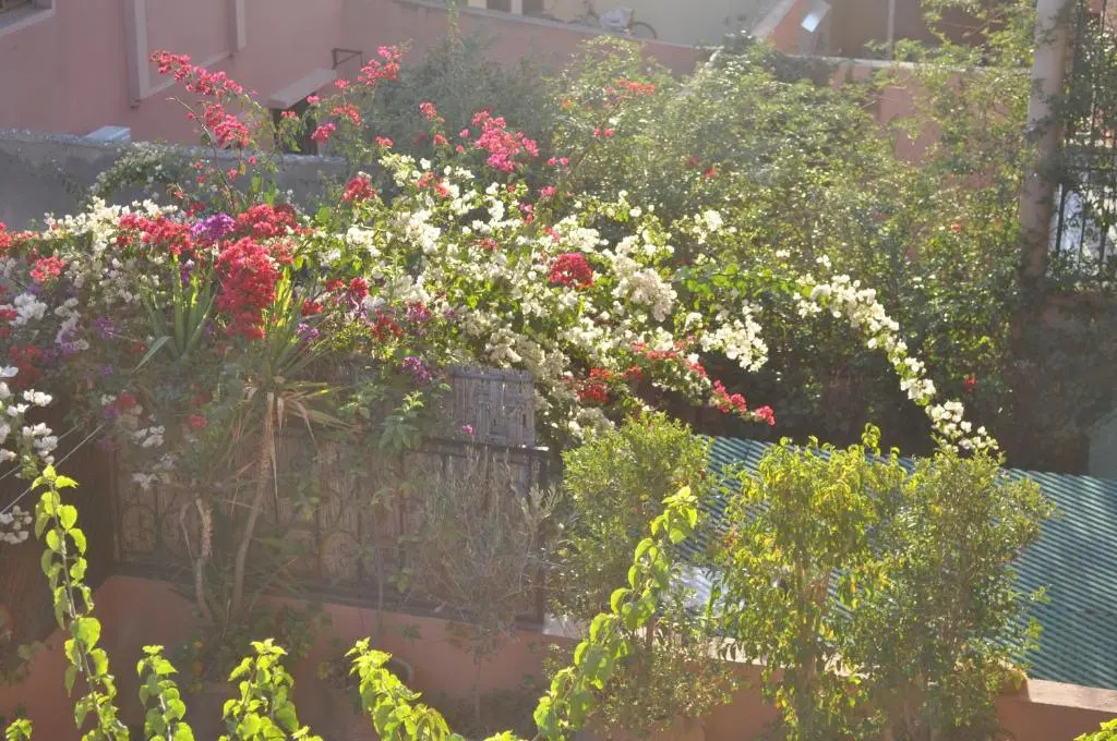 Appartement Andalou